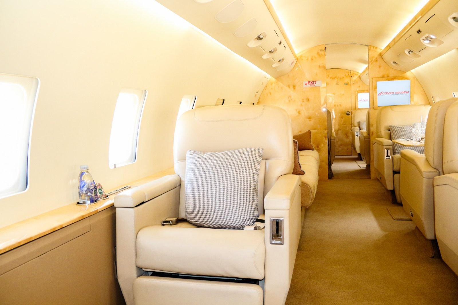 private jet business plane lease egypt